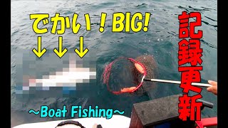 神回！真鯛釣り上げる【２馬力ボート釣り】小型ボートからジギング！その１ハンターボートHunter boat fishing#ハンターボート#ジギング#２馬力ボート# HUNTERボート#真鯛