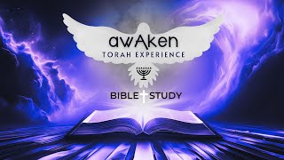 awAken Torah Experience