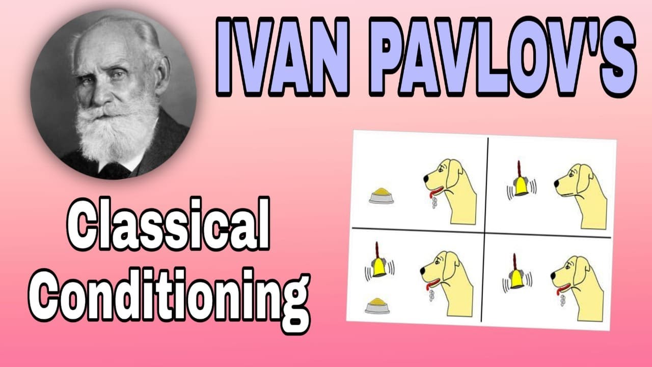 Pavlov Classical Conditioning Theory Milopd