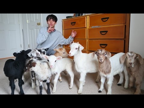 REVENGE PRANK ON TWIN! REVENGE PRANK ON TWIN!