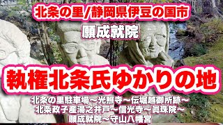 北条の里/静岡県伊豆の国市【ウォーキング】北条の里駐車場〜光照寺〜伝堀越御所跡〜北条政子産湯之井戸〜信光寺〜眞珠院〜願成就院〜守山八幡宮【旅行VLOG】源頼家,武田信光,真珠ヶ淵,八重姫御堂,北條時政