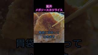 【京都 メガソースカツライス】嵐丼　嵐山駅の2階に在る丼店#Shorts