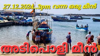 27.12.2024..3pm വന്ന ഒരു മീൻ #fish #kadalkara #vizhinjam #viralvideo #fishing