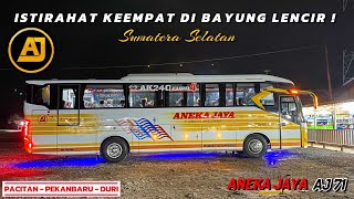 JALUR LINTAS TIMUR PALEMBANG JAMBI BIS ANEKA JAYA HINO AK MESIN DEPAN😍 ‼️ Trip Pacitan - Pekanbaru