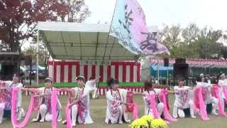 くまがや鳴子会 熊舞さん　 北本よさこい2014