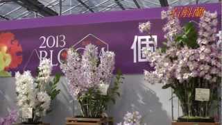 2013 臺灣國際蘭展(5) Taiwan Int'l Orchid Show.大獎花 新品種 蝴蠂蘭 石斛蘭等 Full HD 1080p