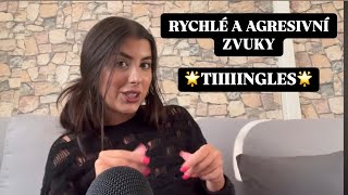 ASMR CZ Pro milovníky rychlých až agresivních zvuků ✨TINGLES ✨