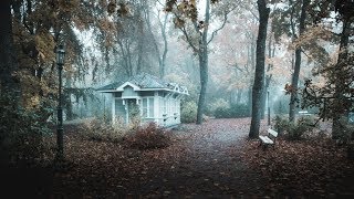 KURESSAARE | MOODY AUTUMN VISUALS | OCTOBER 2019