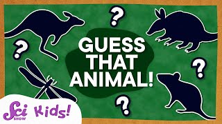 Animal Guessing Game! | Compilation | SciShow Kids