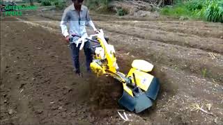 Inter Cultivator Machine (Bed Making)(हल्दी)