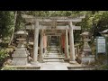 東福寺の散策 walking around tōfuku ji temple（kyoto japan）