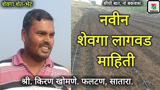 नवीन शेवगा लागवड माहिती | शेवगा शेती पूर्ण माहिती | Drumstick farming |