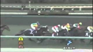 2011年　第41回高松宮記念（GI）　キンシャサノキセキ