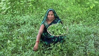 नारी का साग और हाथ की रोटी I करेमुआ की सब्ज़ी जो आपको पता नहीं होगा Kolmi saag NARI KA SAAG recipe