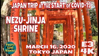 Nezu Jinja Shrine E3 March 16, 2020 Japan Trip at the Start of Covid 19 Tokyo Japan Travel