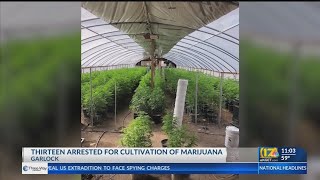 KCSO: 13 arrested in connection to marijuana operation
