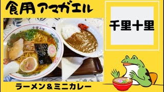 【千里十里(ちりとり)】マジ旨い❗️湯沢駅から徒歩3分の老舗食堂で『ラーメン』と『ミニカレー』のセットを食べて来た‼️定休日→毎週日曜日