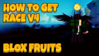 How to get Race V4 | Blox Fruits