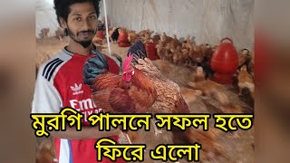 মুরগি পালন করে সফল হওয়ার চেষ্টা। চার বছর পরে আবার মুরগি পালন করছে।