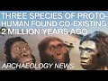 BREAKING NEWS - Three Ancient Hominid Species Discovered from Same Time Period in African Cave