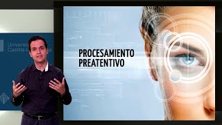 Visión y Procesamiento Preatentivo en Presentaciones