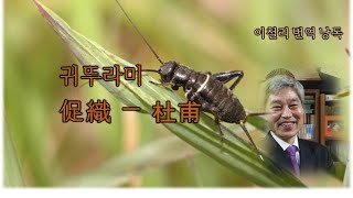 귀뚜라미(促織촉직)―杜甫두보