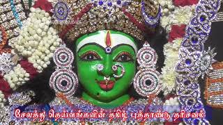 சேலத்து தெய்வங்களின் தமிழ் புத்தாண்டு சிறப்பு தரிசனம் 2021 | Salem God Tamil New Year Alangaram