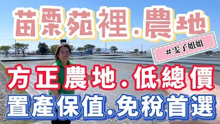 苗栗苑裡農地｜假日小農夫開心農地｜面寬25米｜深度60米｜方正小農地｜單坪1.8萬｜888萬讓你有自己的地❤️#0931516737雯子姐姐帶你看