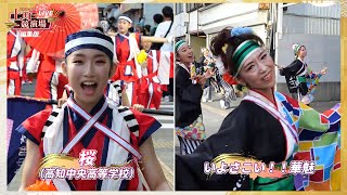 桜（高知中央高等学校）・いよさこい！！華魅【第71回よさこい祭り／上町競演場】