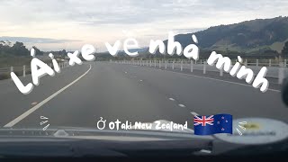 Lái xe dẫn mọi người về nhà Thu ở New Zealand/ Cuộc sống dạo này thế nào? Cuộc sống New Zealand