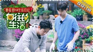 《向往的生活》蘑菇屋H4生活日记第8期20170216：老司机刘宪华传授劈柴大法 小H呆萌变形获何炅熊抱【湖南卫视官方频道】