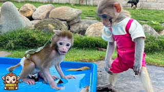 How YiYi worry when baby monkey Yumy playing with dirty water after the rain