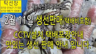 2월 11일, CCTV 설치하고 택배 포장 안내, 그리고 맛있는 생선 판매 안내 입니다. (탁선장 목포 남도농수산 010 3167 7150. 010 9871 0441)