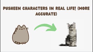 Pusheen Characters in Real Life! (More Accurate)