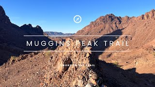 The Muggins Mountains Wilderness