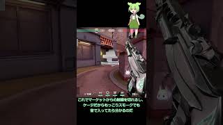 【サンセット】【サイファー】Gen.G meteor選手が使ってたマーケットの射線を切るケージ#valorant #vtuber #イモータル #vct #ヴァロラント #ずんだもん #igl