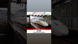 【九州新幹線】新水俣駅に到着する800系「さくら405号」鹿児島中央行き 2024.08 #shorts #800系