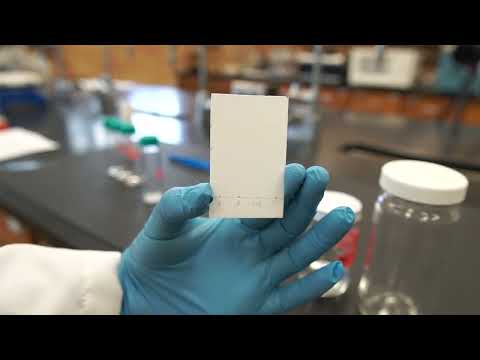 What is the purpose of filter paper in TLC?