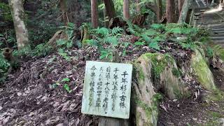 四国別格二十霊場西山興隆寺【紅葉前】