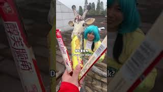 你想吃点零食吗？#funnyvideo #funny #角色扮演