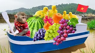 Bim Bim helps dad take care of ducklings and harvest fruit
