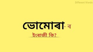 ভোমোৰা - ৰ ইংৰাজী কি? || ভোমোৰা মানে কি? || Assamese to English vocabulary || words meaning