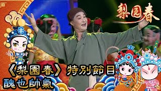 梨園春 2018年第8集 ：《梨園春》特別節目，醜也帥氣