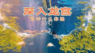 潜水员下海，能看到什么动物？