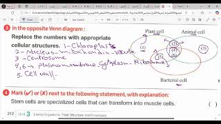 اولى اعدادى لغات\\science\\ unit 3 \\lesson 1\\ cells and life\\مع مستر\\ ســــعد اسماعيل