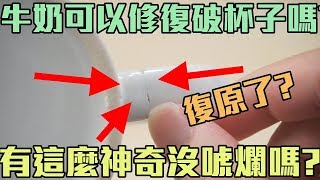 【阿脩】 牛奶可以修復破杯子嗎? 真的有這麼神奇嗎? ｜脩小實驗#27