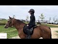 vlog mon premier concours hunter poney 3 et poney 2 mix mania imposé