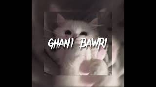 Ghani Bawri - Tanu Weds Manu Returns (bollywood song) - speed up | jxvnav