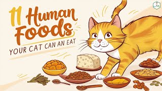 11 Surprising Human Foods Your Cat Can Safely Eat