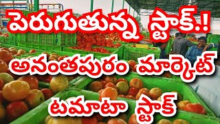 2024 Anantapur tomato market rates/today tomato market rates/today Anantapur tomato rate